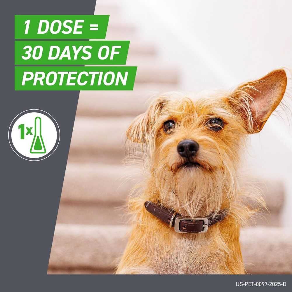 FRONTLINE Plus Flea & Tick Treatment for Extra-Large Dogs – 89–132 lbs, Monthly Protection - Image 8