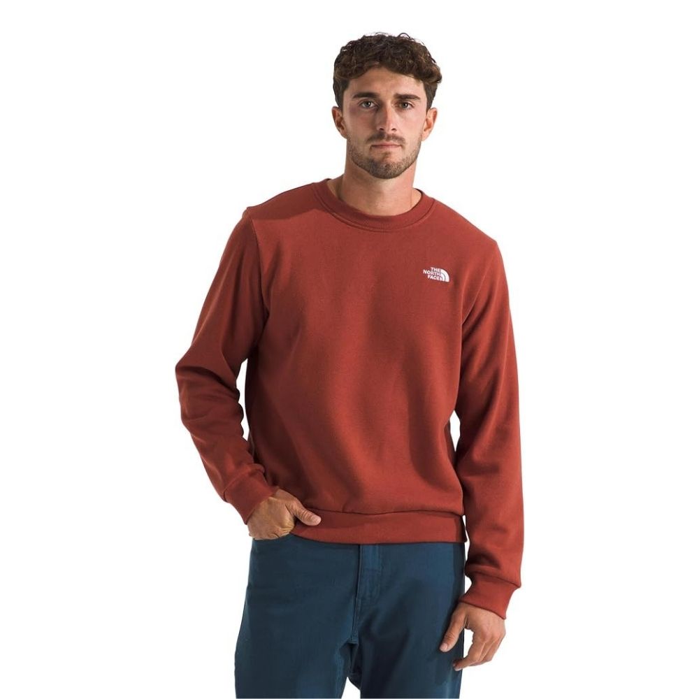 THE NORTH FACE Men's Evolution Simple Dome Crew